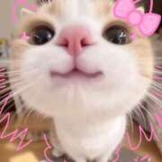 ヒメ日記 2026/03/26 15:27 投稿 ゆき 奴隷コレクション