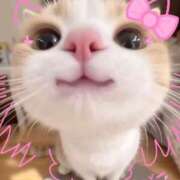 ヒメ日記 2026/03/27 14:04 投稿 ゆき 奴隷コレクション