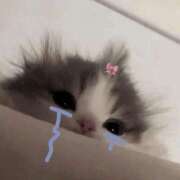 ゆき 😌🎶 奴隷コレクション