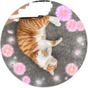 ヒメ日記 2025/02/03 15:42 投稿 神崎 手コキ専門店「寸止め抜き地獄」