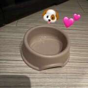 ヒメ日記 2026/07/06 13:11 投稿 神崎 手コキ専門店「寸止め抜き地獄」