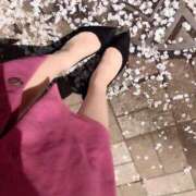 ヒメ日記 2026/04/22 18:09 投稿 ありす 乳首愛撫専門店「五反田シルキータッチ」