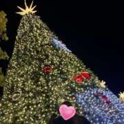 ヒメ日記 2024/12/24 11:46 投稿 みき 乳首愛撫専門店「五反田シルキータッチ」