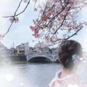 ヒメ日記 2025/04/11 11:22 投稿 みき 乳首愛撫専門店「五反田シルキータッチ」