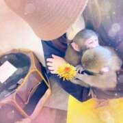 ヒメ日記 2025/05/12 17:20 投稿 みき 乳首愛撫専門店「五反田シルキータッチ」