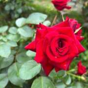 ヒメ日記 2025/06/12 18:03 投稿 みき 乳首愛撫専門店「五反田シルキータッチ」