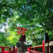 ヒメ日記 2025/08/06 16:18 投稿 みき 乳首愛撫専門店「五反田シルキータッチ」