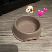 ヒメ日記 2026/07/06 13:10 投稿 みき 乳首愛撫専門店「五反田シルキータッチ」