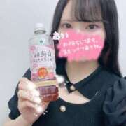 ヒメ日記 2026/06/20 12:24 投稿 あい 乳首愛撫専門店「五反田シルキータッチ」