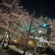 ヒメ日記 2025/04/11 13:37 投稿 えみり 乳首愛撫専門店「五反田シルキータッチ」