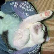 ヒメ日記 2025/02/22 23:08 投稿 まなみ 豊満熟女