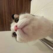 ヒメ日記 2025/06/14 22:24 投稿 まなみ 豊満熟女