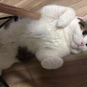 ヒメ日記 2025/06/28 23:46 投稿 まなみ 豊満熟女