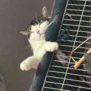 ヒメ日記 2025/07/06 23:06 投稿 まなみ 豊満熟女