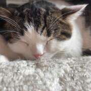 ヒメ日記 2025/07/14 00:42 投稿 まなみ 豊満熟女