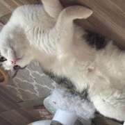 ヒメ日記 2025/08/03 23:36 投稿 まなみ 豊満熟女