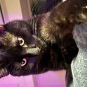 ヒメ日記 2025/08/11 22:48 投稿 まなみ 豊満熟女