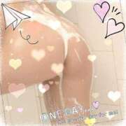 ヒメ日記 2025/07/01 07:00 投稿 白鳥　マリア エテルナ彦根