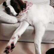 ヒメ日記 2025/09/07 08:11 投稿 白鳥　マリア エテルナ彦根