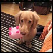 ヒメ日記 2025/09/07 13:47 投稿 白鳥　マリア エテルナ彦根