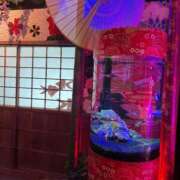 ヒメ日記 2025/09/13 11:10 投稿 白鳥　マリア エテルナ彦根