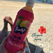 ヒメ日記 2025/09/23 07:41 投稿 白鳥　マリア エテルナ彦根