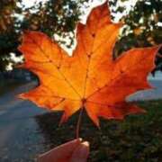 ヒメ日記 2025/11/22 07:25 投稿 白鳥　マリア エテルナ彦根