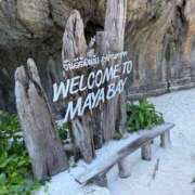 ヒメ日記 2025/12/31 22:06 投稿 白鳥　マリア エテルナ彦根