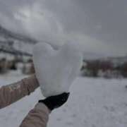 ヒメ日記 2026/01/22 06:45 投稿 白鳥　マリア エテルナ彦根