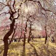 白鳥　マリア 🌸🌸おはよう🌸🌸 エテルナ彦根