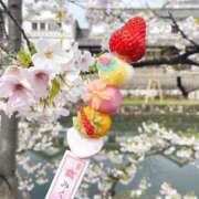 ヒメ日記 2026/03/15 11:44 投稿 白鳥　マリア エテルナ彦根