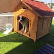 ヒメ日記 2026/03/17 08:21 投稿 白鳥　マリア エテルナ彦根