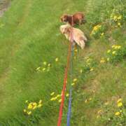 ヒメ日記 2026/03/27 06:07 投稿 白鳥　マリア エテルナ彦根