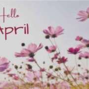 ヒメ日記 2026/04/01 06:45 投稿 白鳥　マリア エテルナ彦根