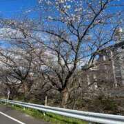 ヒメ日記 2026/03/26 17:55 投稿 もこ 愛姫～ラブひめ～