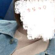 ヒメ日記 2026/04/03 19:51 投稿 もこ 愛姫～ラブひめ～