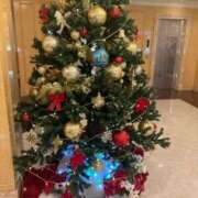 ヒメ日記 2025/12/23 04:23 投稿 夏海 福盛