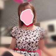 ヒメ日記 2025/10/08 14:46 投稿 か な ITS