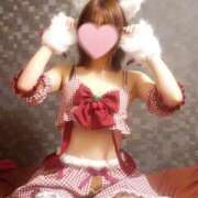 ヒメ日記 2025/04/08 05:20 投稿 はな ITS