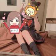 ヒメ日記 2025/03/19 11:40 投稿 わかば ITS