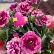 ヒメ日記 2025/09/29 21:50 投稿 さな 性腺熟女100％（デリヘル市場）