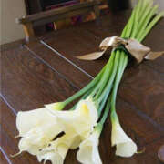 ヒメ日記 2025/10/11 10:35 投稿 さな 性腺熟女100％（デリヘル市場）