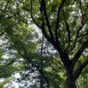 ヒメ日記 2025/05/01 21:33 投稿 さな 大和人妻城