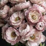 ヒメ日記 2025/07/14 23:23 投稿 さな 大和人妻城