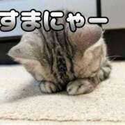 ヒメ日記 2024/12/27 05:13 投稿 きき♪ プリティーガール