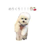 ヒメ日記 2024/12/24 10:14 投稿 【月城  ゆう】 梅田ムチSpa女学院