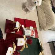 ヒメ日記 2024/12/30 13:04 投稿 【月城  ゆう】 梅田ムチSpa女学院