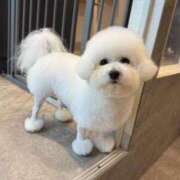 ヒメ日記 2025/01/07 19:04 投稿 【月城  ゆう】 梅田ムチSpa女学院