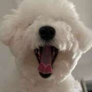 ヒメ日記 2025/01/18 10:34 投稿 【月城  ゆう】 梅田ムチSpa女学院