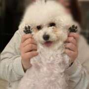 ヒメ日記 2025/02/27 15:24 投稿 【月城  ゆう】 梅田ムチSpa女学院